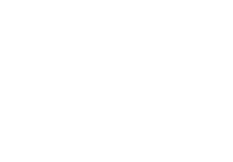 Information in the EU’s Digitalized Governance
